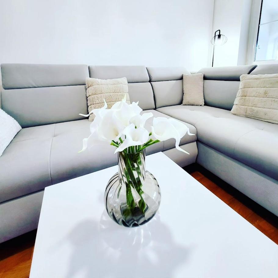 מאלינסקה Malinsummer Apartments מראה חיצוני תמונה